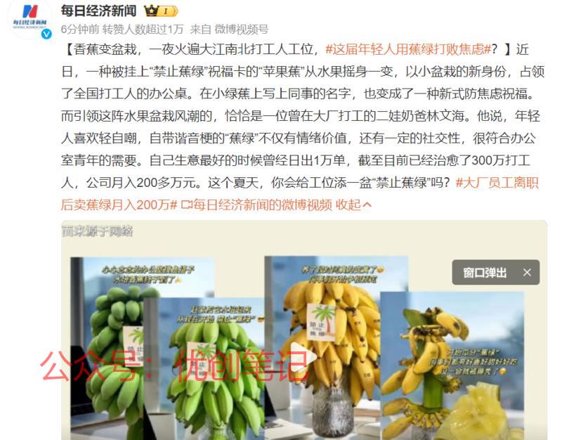 香蕉变盆栽，一夜火遍大江…#情报-搞钱线报📢论坛-网创交流-优创圈